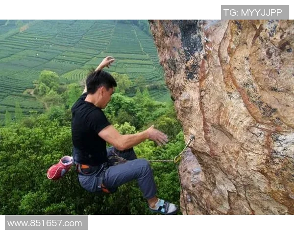 攀岩深度探索：揭秘杭州攀岩队的战术与团队协作之道